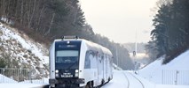 Powstanie nowy przystanek kolejowy w Trójmieście. PLK zmienia zdanie