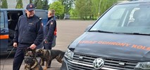 Wspólne szkolenie psów służbowych łódzkiej SOK i Policji