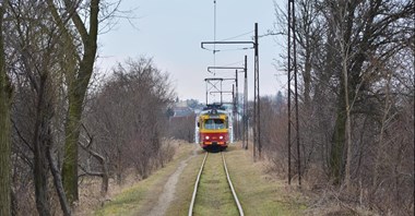 Czy tramwaj wróci do Ozorkowa i Lutomierska? Zdanowska: Nie ma szans bez ustawy metropolitalnej