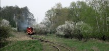 90 procent trasy gnieźnieńskiej wąskotorówki bez ruchu