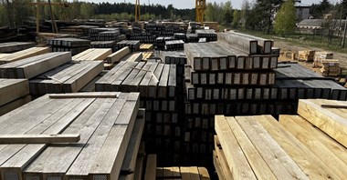 Drewno - surowiec przyszłości, który przyspieszy dekarbonizację?