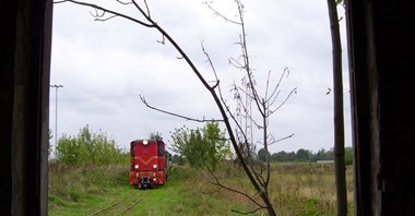 Ozorków: Na odbudowę wąskotorówki potrzeba 5-6 mln zł